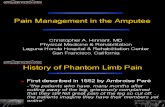 Pain Management in the Amputee