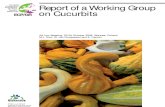 1441_Report on a Working Group on Cucurbits