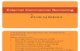 External Commercial Borrowing(ECB)