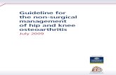 Clinical Practice Guidelines for the Non-Surgical Management of Hip and Knee Osteoarthritis