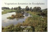 Vegetation dynamics in floodplains