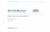 DiskBoss File Synchronization