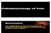 Pa Tho Physiology of Pain