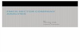 Fmcg Sector Company Analysis