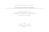 Dissertation Proposal - (Updated 6-13-2011)