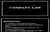 Company Law Part i