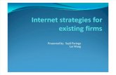 Internet Strategies for Existing Firms Final1