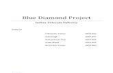 Blue Diamond Group 10