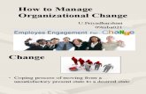 How to Manage Organizational Change