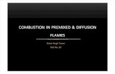 Combustion in Premixed & Diffusion Flames