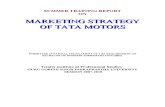 Marketing Strategic of Tata Motor Final112