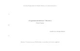Final Paper Argumentation Theory- Andreea Gospodariu