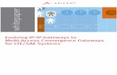 Evolving IP-IP Gateways to Multi-Access Convergence Gateways for LTE-SAE systems