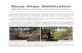 steep slope stabilization