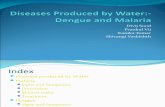 Water-Bourne Diseases  Dengue and Malaria