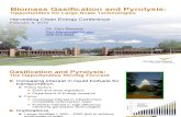 Biomass Gasification and Pyrolysis 2010