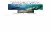 Guilminot E. Electrolytic Treatment in Situ Conserv. Marine Artefacts. 2010
