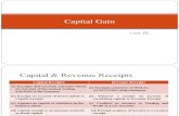 capital gains new