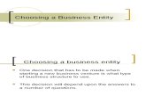 Choosing a Business Entity (2)