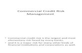 Commercial Credit Risk Management