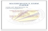 Maths Term Paper