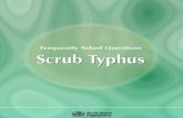 CDS__Scrub Typhus