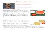 Tomato Food Recipes in Tamil