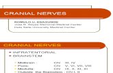 cranial nerves lecture 2