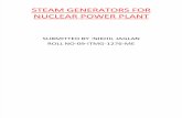 STEAM GENERATORS FOR NUCLEAR POWER PLANT