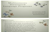 Multisensory Structured Language Programs1