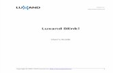 Luxand Blink Documentation
