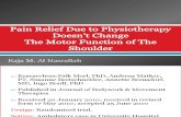 Pain Relief Due to Physiotherapy Doesn’t Change 2