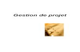 23923156 296 Pages Management Support Cours Gestion Projet Exercices Outils Articles V3 1