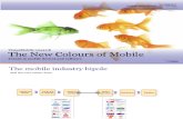 The New Colours of Mobile Vision Mobile, May 2010)