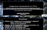 4. Indigenous Perspectives on FPIC