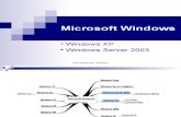 Windowsxp2003-LSP TELEMATIKA