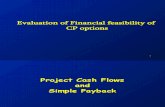 Financial Feasibility 10a
