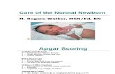 Normal Newborn S