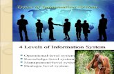 Types if Information System