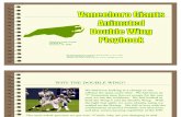 Vanceboro Giants Animated DWing Playbook by Jack H. Taylor