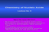 Chemistry of Nucleic Acids
