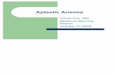 10.27.06 Cox Aplastic Anemia
