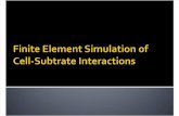 Finite Element Simulation Presentation