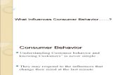 Influences Consumer Behavior