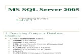 SQL Server Lab 3