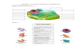 BIO MODULE CELL STRUCTURE AND ORGANISATION