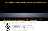 Berbin Team Roles (1)