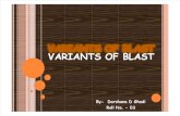 Variants of Blast