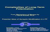 Complexities of Long-Term ion