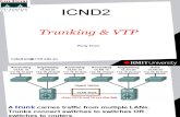 ICND 2 Trunking and VTP 2010
